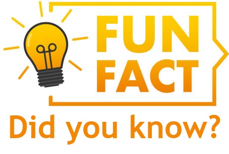 Fun Facts!